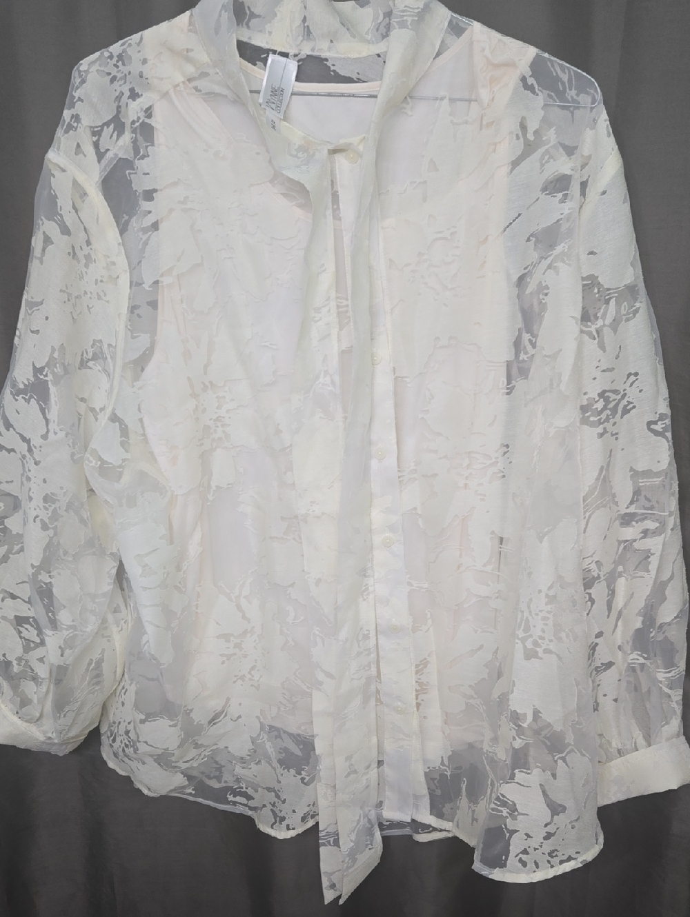 WEEKEND SALE! Sheer Ivory Tie-Neck Blouse - Women